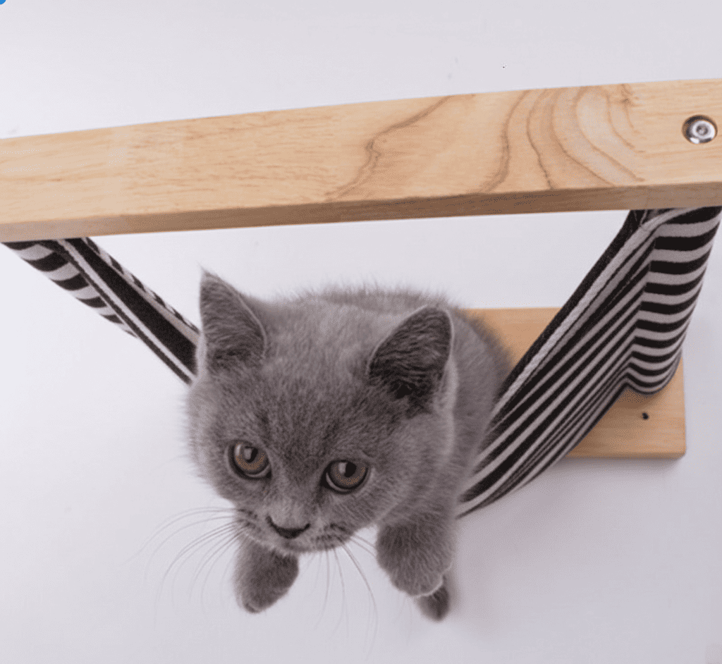 Wall-Mounted Cat Hammock for Calm, Comfortable Perching - Artotee